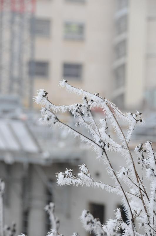 chu_071219_D300_0220.JPG