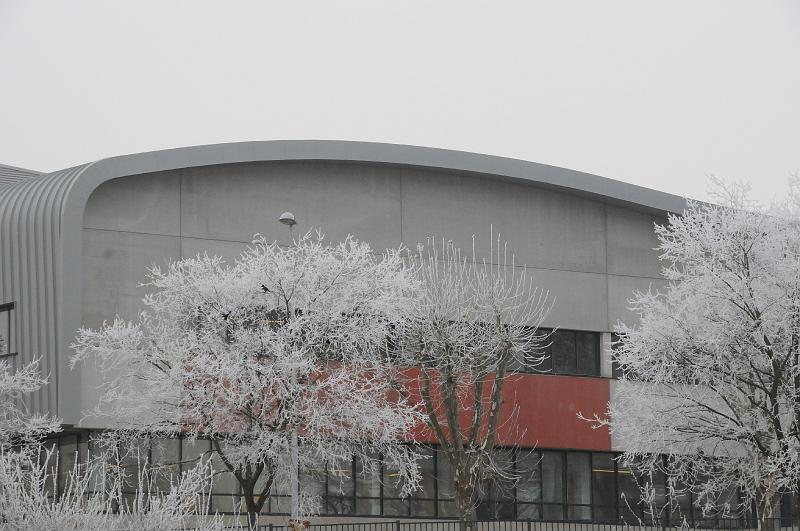 chu_071219_D300_0237.JPG