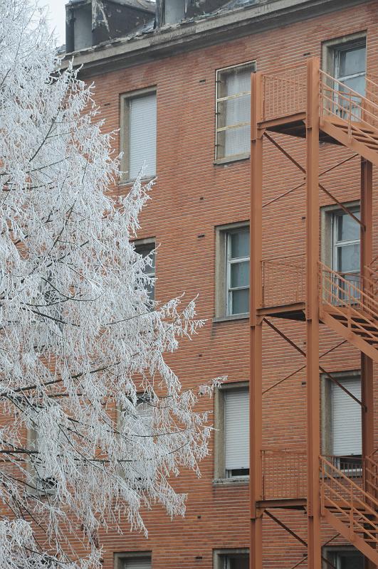 chu_071219_D300_DSC_0426.JPG