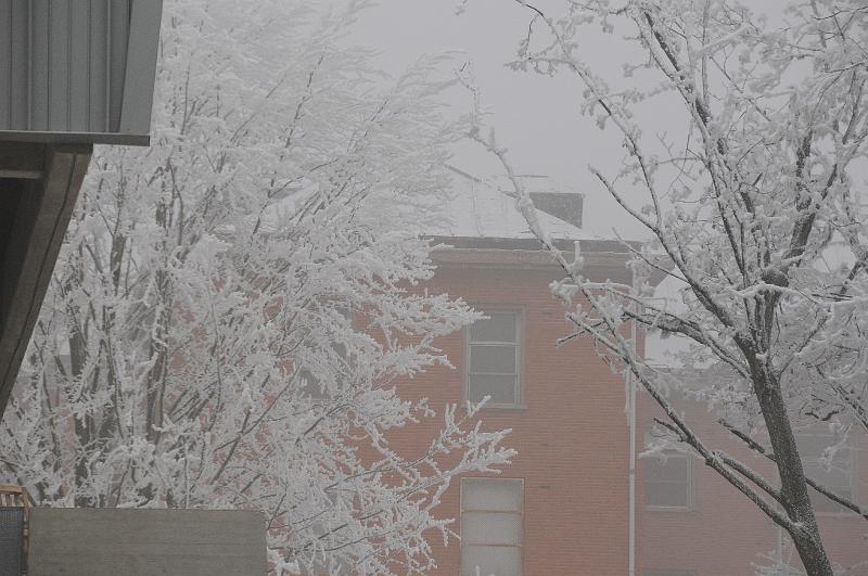 chu_071221_D300_0489.JPG
