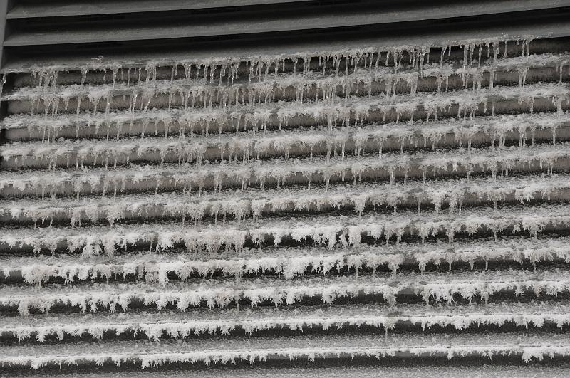 chu_071221_D300_0495.JPG