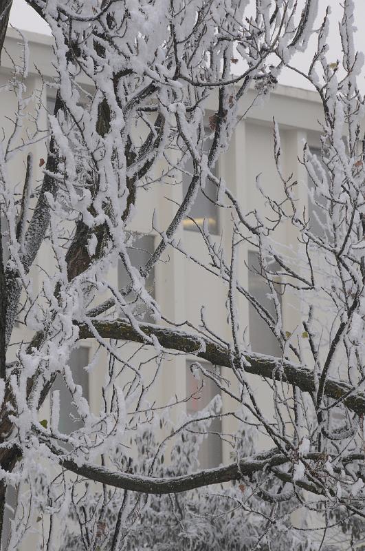 chu_071221_D300_0510.JPG