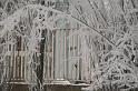 chu_071221_D300_0477