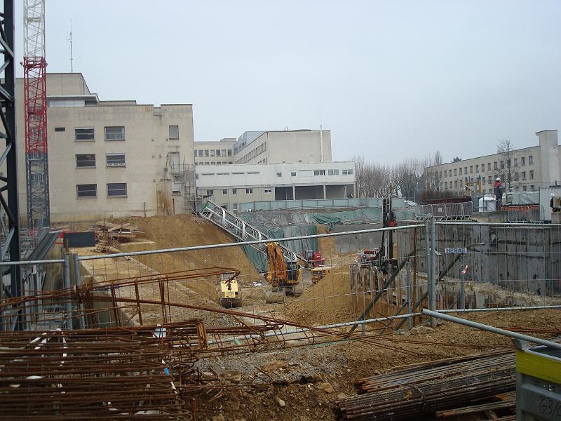 chu_080130_W80_0095.JPG