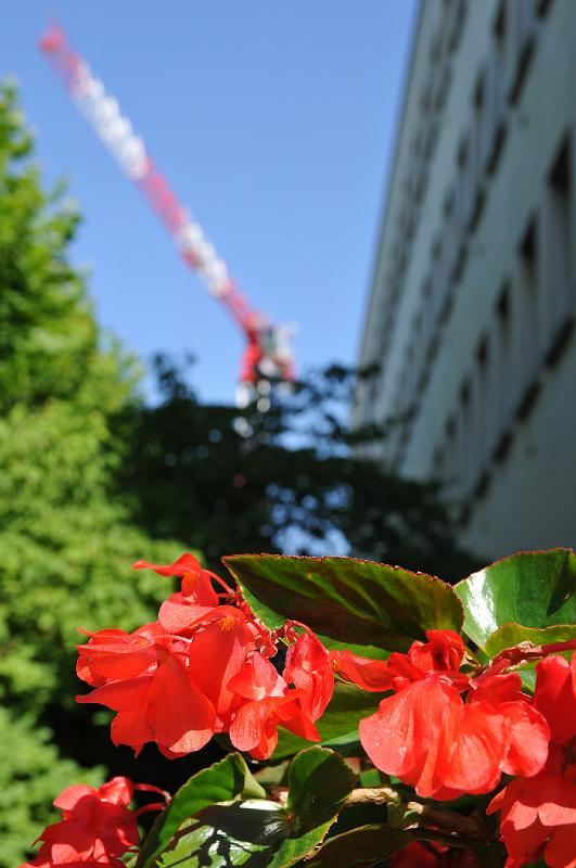 chu_20080723_D300_3933.JPG