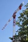 chu_20080723_D300_3934