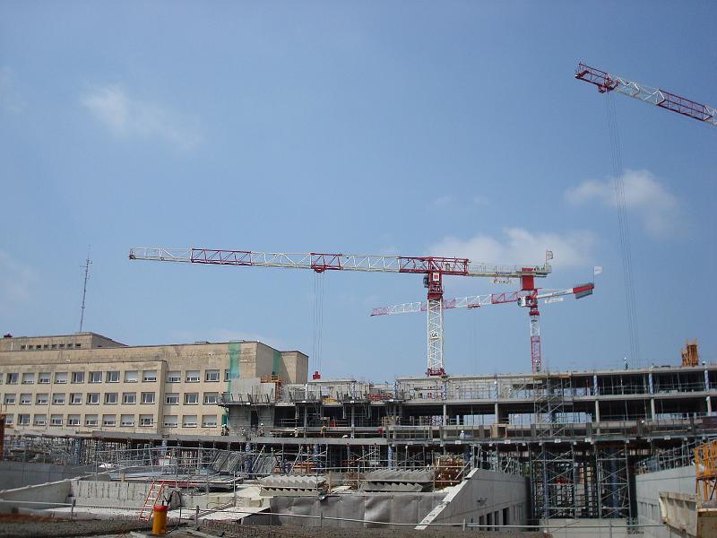 chu_20080611_W80_0327.JPG