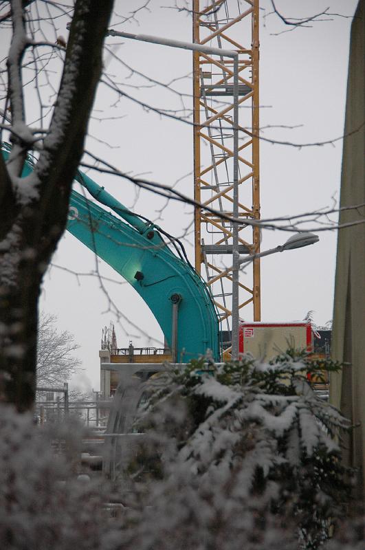 chu_20090204_D70_4855.JPG