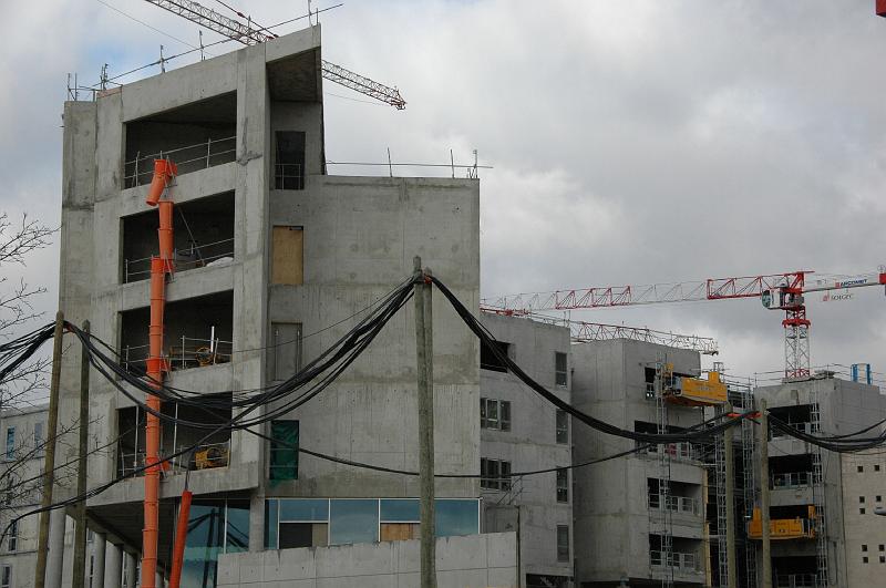 chu_20090211_D70_4969.JPG