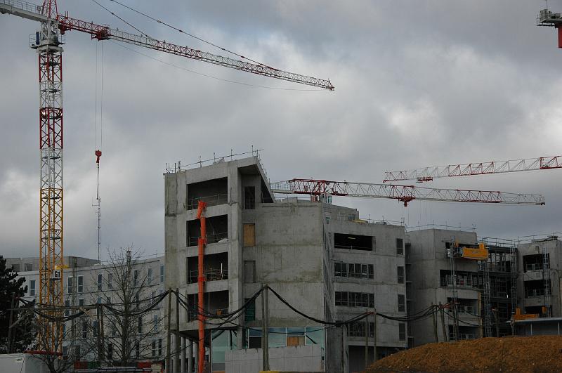 chu_20090211_D70_4970.JPG