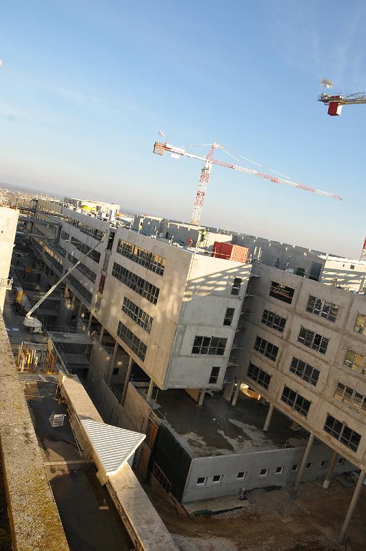 chu_20090219_D300_7341.JPG