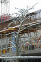 chu_20090204_D70_4872
