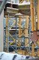 chu_20090204_D70_4887