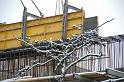 chu_20090204_D70_4890