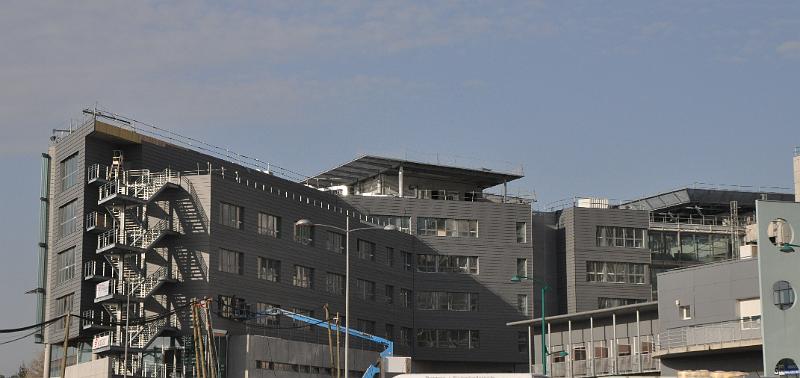 chu_20091120_D90_1510.JPG
