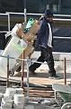 chu_20091106_D90_1363
