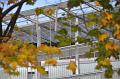 chu_20091014_D90_1090