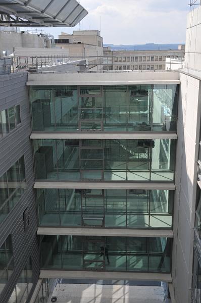 chu_20100414_D300__3745.JPG