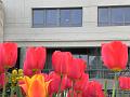 chu_20100420_P100_0081