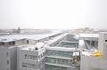 chu_20100108_D90_1753