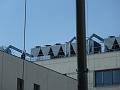 chu_20100306_ZX1_0124