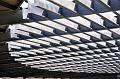 chu_20100518_d90_2232