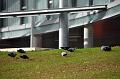 chu_20101006_D90__3361