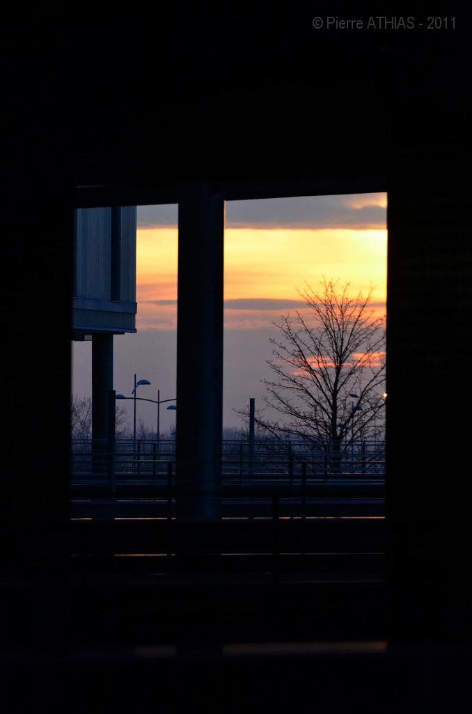 chu_20110107_D7000_4916.JPG