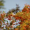 chu_20080902_D50_1793