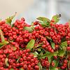 chu_20091014_D90_1058