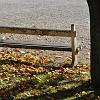 chu_20091014_D90_1061