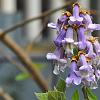 chu_20100507_d90_2075