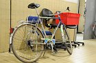 chu_20071219_D300_0277