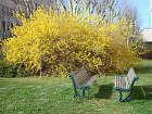 chu_20080319_W80_0175
