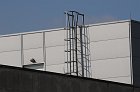 chu_20080404_D300_1596