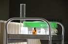 chu_20080521_D300_2648