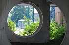 chu_20080521_D300_2650