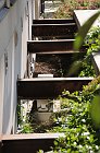 chu_20080521_D300_2654