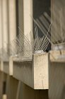 chu_20080731_D50_1685