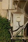 chu_20080731_D50_1687