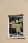 chu_20080806_D300_4192
