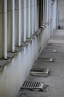 chu_20080806_D300_4198