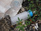 chu_20080910_W170_0013