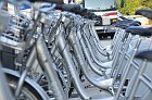 chu_20080924_D300_5679