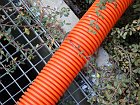chu_20081126_W170_0309