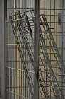 chu_20090422_D90_0053