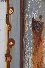 chu_20090603_D90_0346