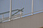 chu_20090603_D90_0369