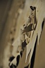 chu_20090604_D90_8869