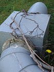chu_20090730_W170_0797